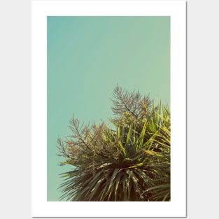 Cordyline Vibes Posters and Art